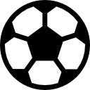 Home Icon